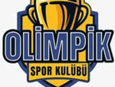KOCAELİ ÇAYIROVA BASKETBOL OKULU/ KURSU